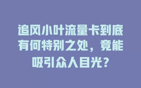 追风小叶流量卡到底有何特别之处，竟能吸引众人目光？
