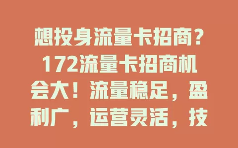 想投身流量卡招商？172流量卡招商机会大！流量稳足，盈利广，运营灵活，技术售后强，不容错过！