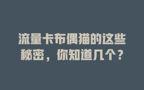 流量卡布偶猫的这些秘密，你知道几个？