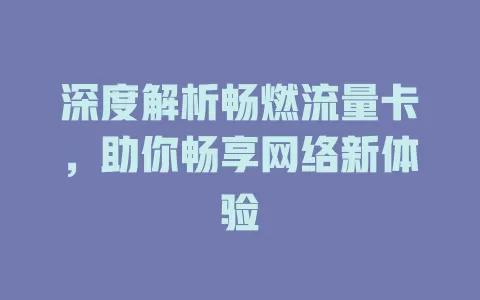 深度解析畅燃流量卡，助你畅享网络新体验