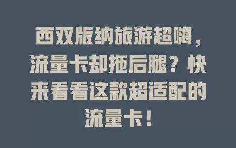 西双版纳旅游超嗨，流量卡却拖后腿？快来看看这款超适配的流量卡！