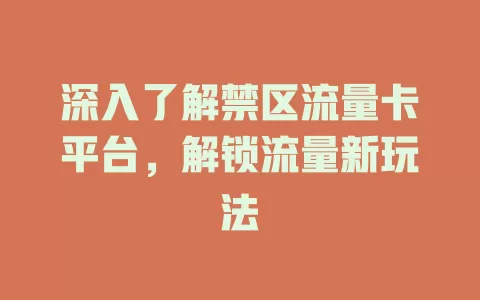 深入了解禁区流量卡平台，解锁流量新玩法