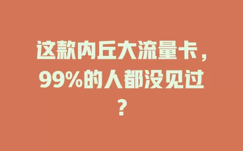 这款内丘大流量卡，99%的人都没见过？