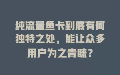 纯流量鱼卡到底有何独特之处，能让众多用户为之青睐？