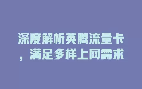 深度解析英腾流量卡，满足多样上网需求