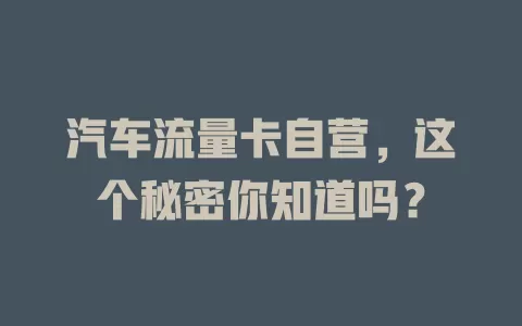 汽车流量卡自营，这个秘密你知道吗？