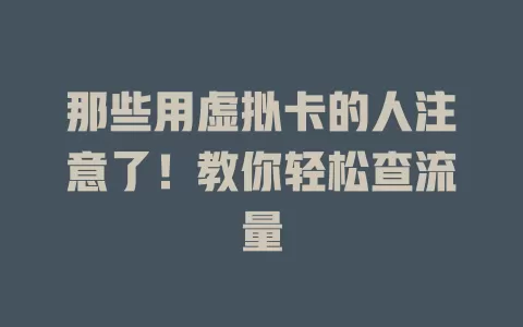 那些用虚拟卡的人注意了！教你轻松查流量