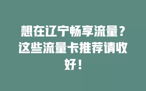 想在辽宁畅享流量？这些流量卡推荐请收好！