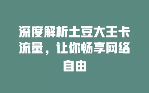 深度解析土豆大王卡流量，让你畅享网络自由