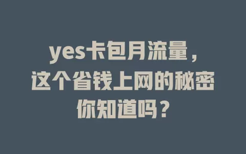 yes卡包月流量，这个省钱上网的秘密你知道吗？