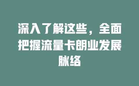 深入了解这些，全面把握流量卡朗业发展脉络