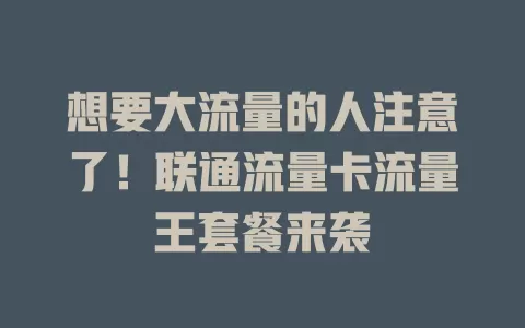 想要大流量的人注意了！联通流量卡流量王套餐来袭