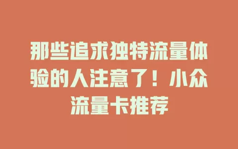 那些追求独特流量体验的人注意了！小众流量卡推荐