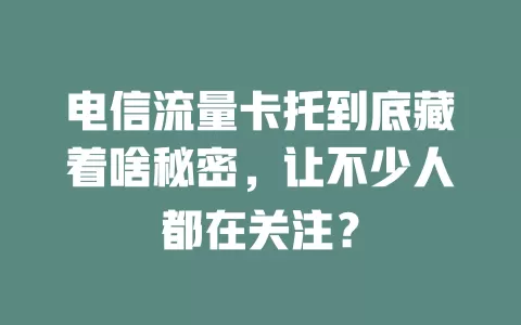 电信流量卡托到底藏着啥秘密，让不少人都在关注？
