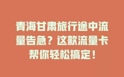 青海甘肃旅行途中流量告急？这款流量卡帮你轻松搞定！