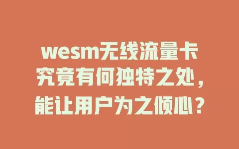 wesm无线流量卡究竟有何独特之处，能让用户为之倾心？