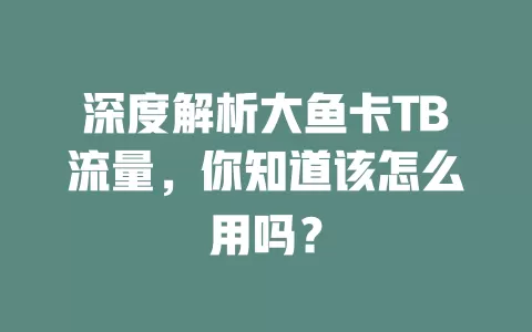 深度解析大鱼卡TB流量，你知道该怎么用吗？