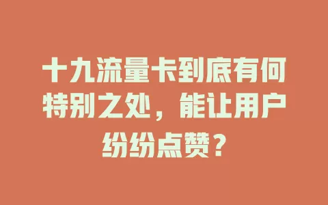 十九流量卡到底有何特别之处，能让用户纷纷点赞？