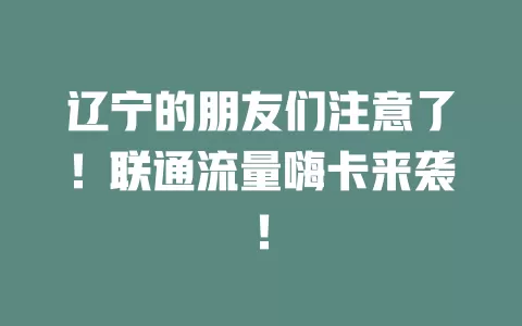 辽宁的朋友们注意了！联通流量嗨卡来袭！