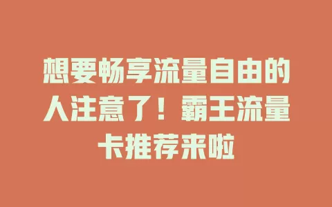 想要畅享流量自由的人注意了！霸王流量卡推荐来啦