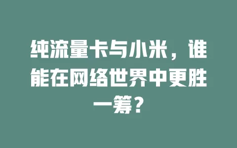 纯流量卡与小米，谁能在网络世界中更胜一筹？