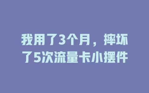 我用了3个月，摔坏了5次流量卡小摆件