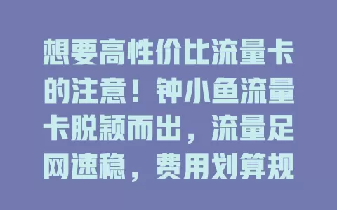 想要高性价比流量卡的注意！钟小鱼流量卡脱颖而出，流量足网速稳，费用划算规则简，办理简便客服贴心，是你的上网好选择！