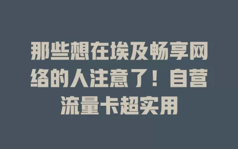 那些想在埃及畅享网络的人注意了！自营流量卡超实用