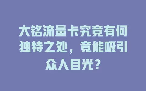 大铭流量卡究竟有何独特之处，竟能吸引众人目光？