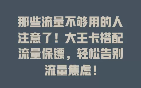 那些流量不够用的人注意了！大王卡搭配流量保镖，轻松告别流量焦虑！