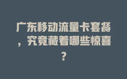 广东移动流量卡套餐，究竟藏着哪些惊喜？