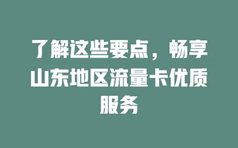 了解这些要点，畅享山东地区流量卡优质服务