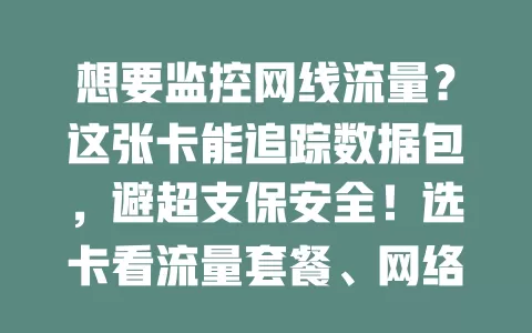 想要监控网线流量？这张卡能追踪数据包，避超支保安全！选卡看流量套餐、网络速度和兼容性。优质监控网线流量卡如网络“眼睛”，个人企业都得重视！