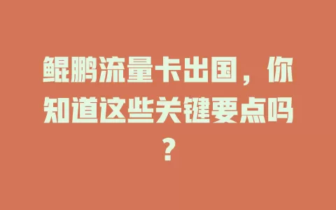 鲲鹏流量卡出国，你知道这些关键要点吗？