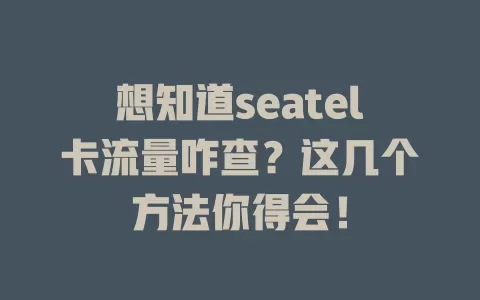 想知道seatel卡流量咋查？这几个方法你得会！