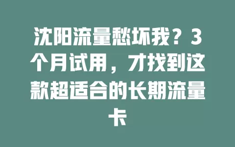 沈阳流量愁坏我？3个月试用，才找到这款超适合的长期流量卡