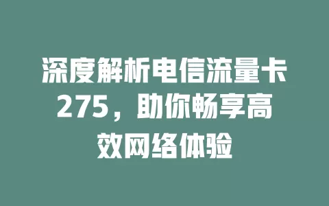 深度解析电信流量卡275，助你畅享高效网络体验