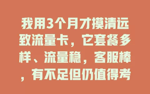 我用3个月才摸清远致流量卡，它套餐多样、流量稳，客服棒，有不足但仍值得考虑