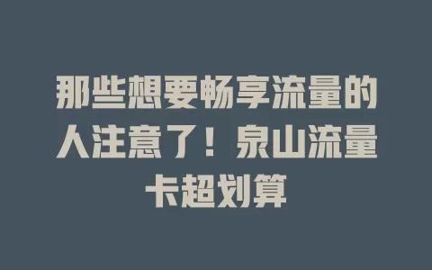 那些想要畅享流量的人注意了！泉山流量卡超划算