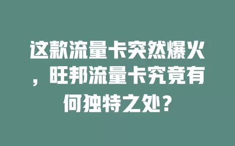 这款流量卡突然爆火，旺邦流量卡究竟有何独特之处？