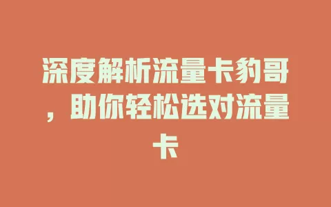 深度解析流量卡豹哥，助你轻松选对流量卡
