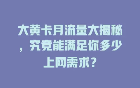 大黄卡月流量大揭秘，究竟能满足你多少上网需求？