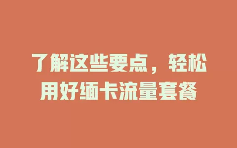 了解这些要点，轻松用好缅卡流量套餐