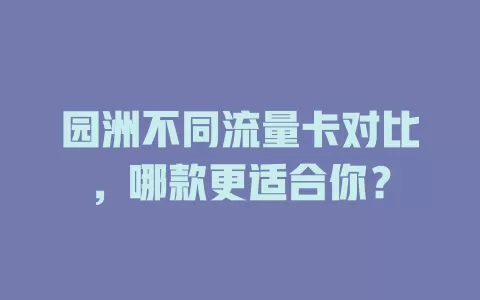 园洲不同流量卡对比，哪款更适合你？