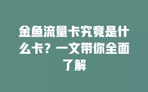 金鱼流量卡究竟是什么卡？一文带你全面了解