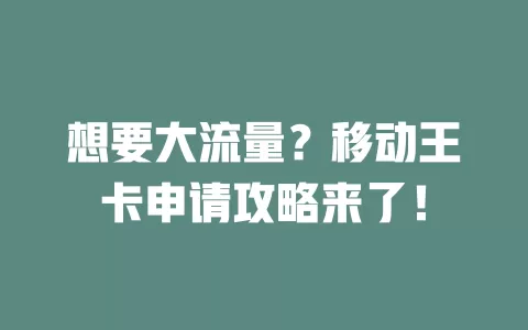想要大流量？移动王卡申请攻略来了！
