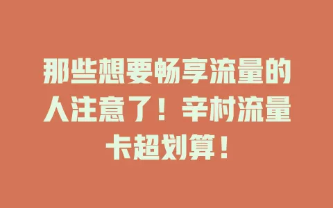 那些想要畅享流量的人注意了！辛村流量卡超划算！