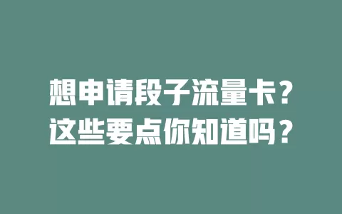 想申请段子流量卡？这些要点你知道吗？