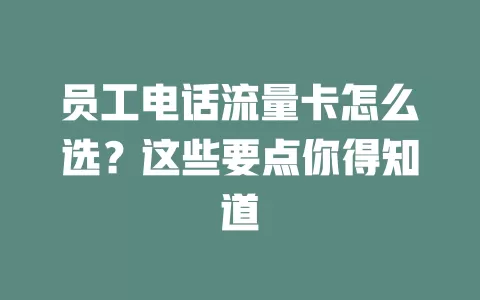 员工电话流量卡怎么选？这些要点你得知道