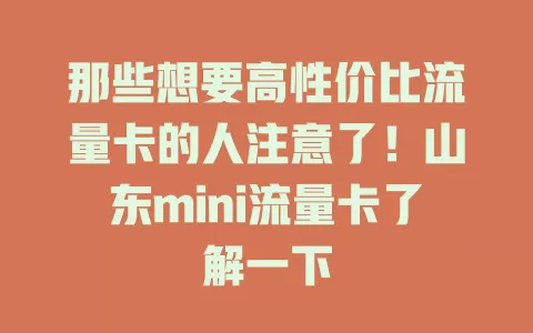 那些想要高性价比流量卡的人注意了！山东mini流量卡了解一下